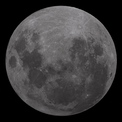 danr19 giphyupload moon luna libracion GIF