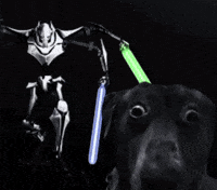 Star Wars Dog Stare GIF