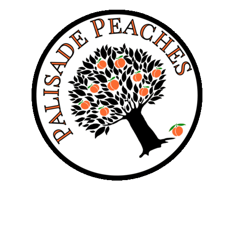 Peach Tree Summer Sticker by Palisade Peaches