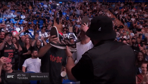 wingertandrew giphyupload beer shoe shoey GIF