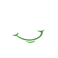 New Smile Braces Sticker by Spring Hill Smiles