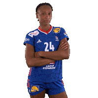 Ffhandball Sticker by Fédération Française de Handball