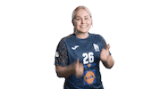 Sport-UnionNeckarsulm handball handball damen neckarsulm sunhandball Sticker