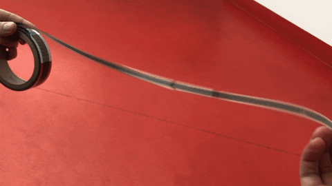 NikiStrachan giphyupload GIF