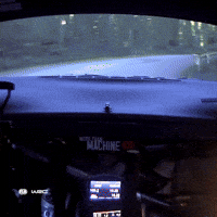 Japan Driving GIF by FIA World Rally Championship
