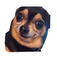 Dog What Sticker by namslam