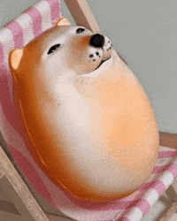 Relaxing Shiba Inu GIF
