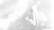 GIF by Sony Music Colombia