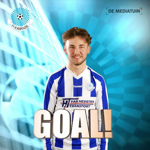 Voetbalvereniging_Scherpenzeel giphyupload goal win score GIF