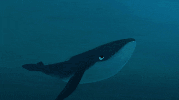 Festivalnews GIF by Matchbox Mountain