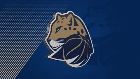 LevhartiChomutov giphyupload logo basketball chomutov GIF