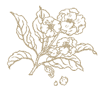 Flower Sakura Sticker by Tocco Toscano