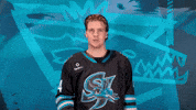 Be Quiet San Jose GIF by San Jose Barracuda