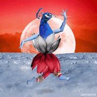 dance dancing GIF