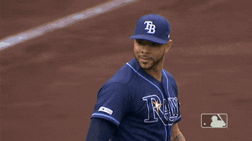 Regular Season Sport GIF by MLB