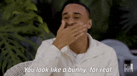 Look Like A Bunny