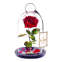 rose Sticker