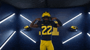 Go Blue College Football GIF by Michigan Athletics