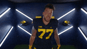 Go Blue College Football GIF by Michigan Athletics