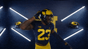 Go Blue College Football GIF by Michigan Athletics