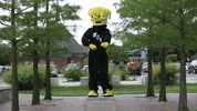 Wu_Shock flex wsu wu wushock GIF