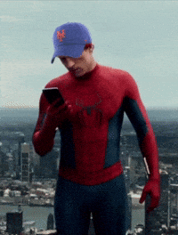 Spider-Man Mets GIF