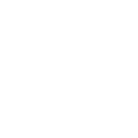 bioritmooficial giphyupload summer camp summercamp bio ritmo Sticker