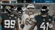 National Football League GIF by NFL