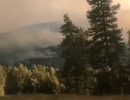 Cedar Creek Wildfire Burns Over 36,000 Acres in Northern Washington