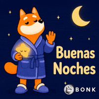 Crypto Solana GIF by BONK