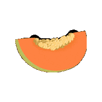 pollolarrainarte melon pollolarraínarte pollolarrain pollolarraín Sticker