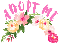 Flower Crown Adopt Me Sticker by HeARTs Speak