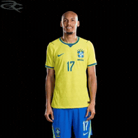 Fifa World Cup Brazil GIF by Respective