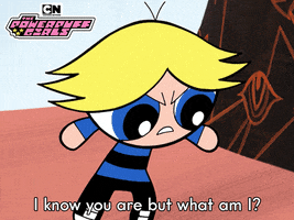 Powerpuff Girls Bubbles GIF by Cartoon Network