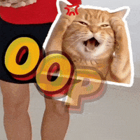 Ops GIF