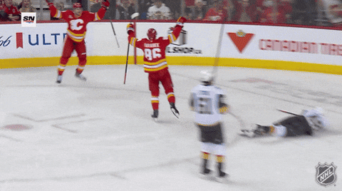 Excited National Hockey League GIF by NHL