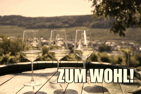 saarobermosel giphygifmaker giphyattribution wein sekt GIF