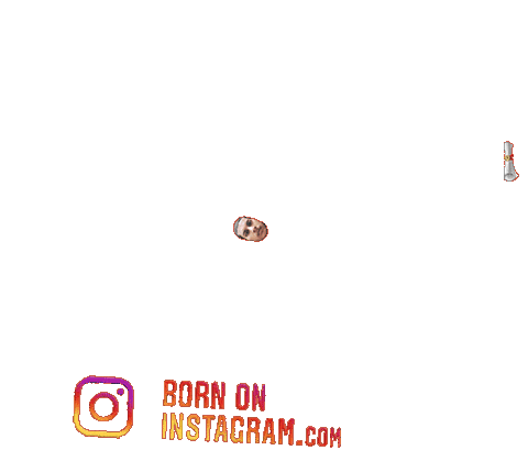 Shaurya Sticker by BORN ON INSTAGRAM