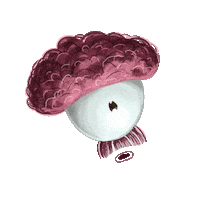 Zverskayaya reaction love smile wow Sticker