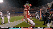National Football League GIF by NFL