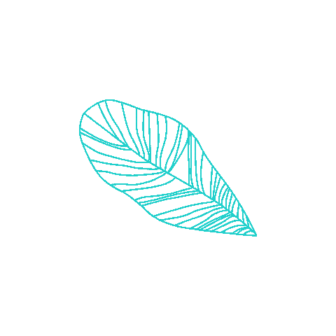 Tseewhy giphyupload leaf leaves lines Sticker
