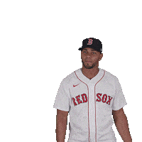 Red Sox Baseball Sticker by Boston Red Sox