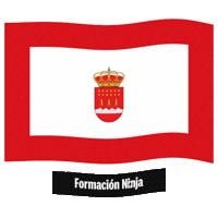 Flag Spain Sticker by Formación Ninja