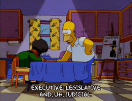 homer simpson episode 23 GIF