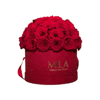 Flowers Love Sticker by MILA ROSES