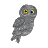 Forest Owl Sticker by Teaspoon studio