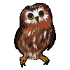 Blink Owl Sticker by girlinwhiteglasses