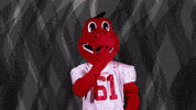 dragons love GIF by Minnesota State University Moorhead