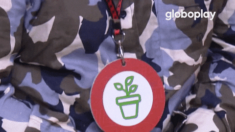 Big Brother Brasil Lucas GIF by globoplay