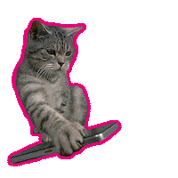 Cat Ciao Sticker by Deutsche Telekom